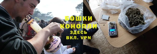 стафф Богданович