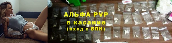 стафф Богданович