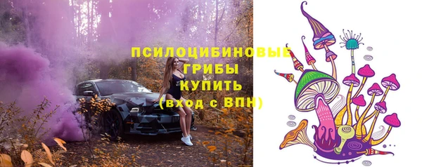 синтетический гашиш Богородицк