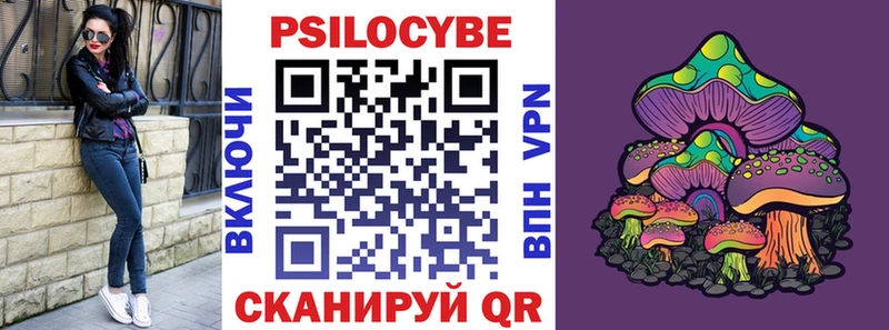 купить наркотик  Валдай  Псилоцибиновые грибы прущие грибы 